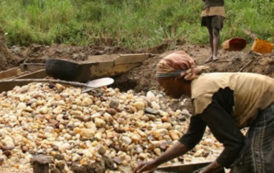 Le chocolat pourrait disparaître d’ici 2050