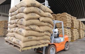Côte d’Ivoire: Bolloré lance un nouveau magasin d’entreposage de cacao