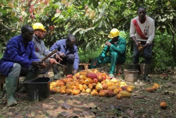 Quatre géants du chocolat investissent CHF 5 millions dans l’éducation en Côte d’Ivoire