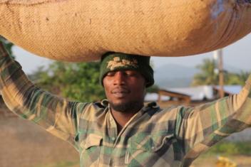 L’Afrique, grande gagnante de la campagne mondiale cacao 2016/17