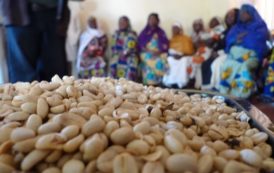 L’interdiction d’exporter du café non transformé à l’étude au Kenya