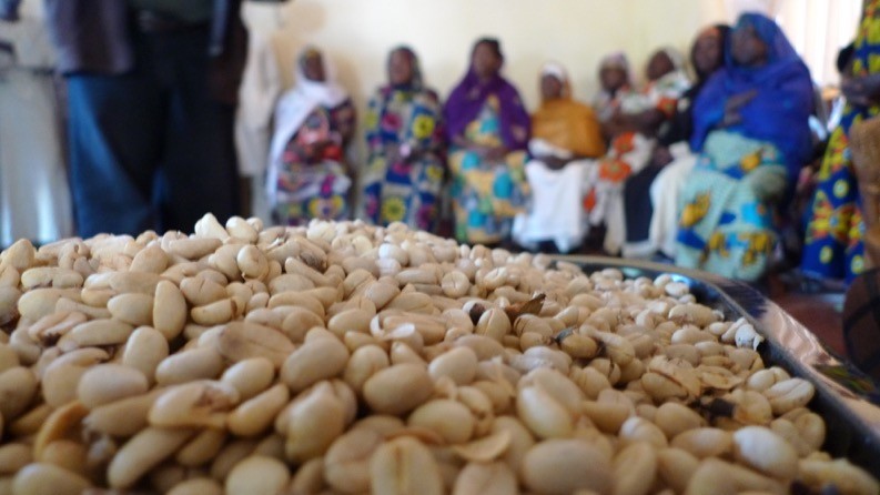 L’interdiction d’exporter du café non transformé à l’étude au Kenya