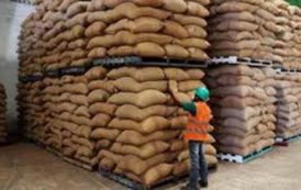 Chute de 48% des volumes de café exportés de Côte d’Ivoire suite aux blocages