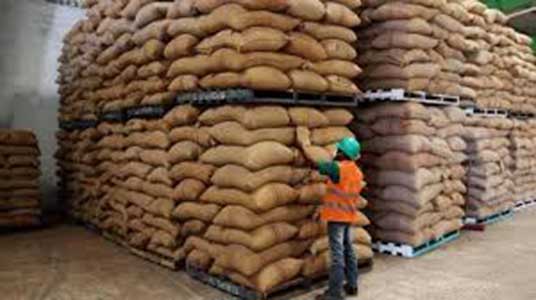 Chute de 48% des volumes de café exportés de Côte d’Ivoire suite aux blocages