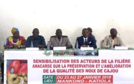 Côte d’Ivoire : Vaste Campagne de sensibilisation des acteurs de la filière initiée par le Conseil Coton Anacarde en images