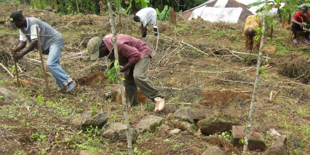 Cameroun : un nouveau contrat pour la reconversion de la dette extérieure