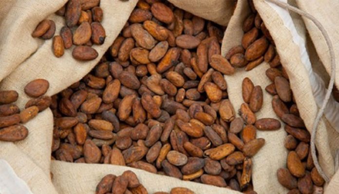 Cameroun: les exportations du cacao ont connu une baisse de 10% au mois de juillet 2018