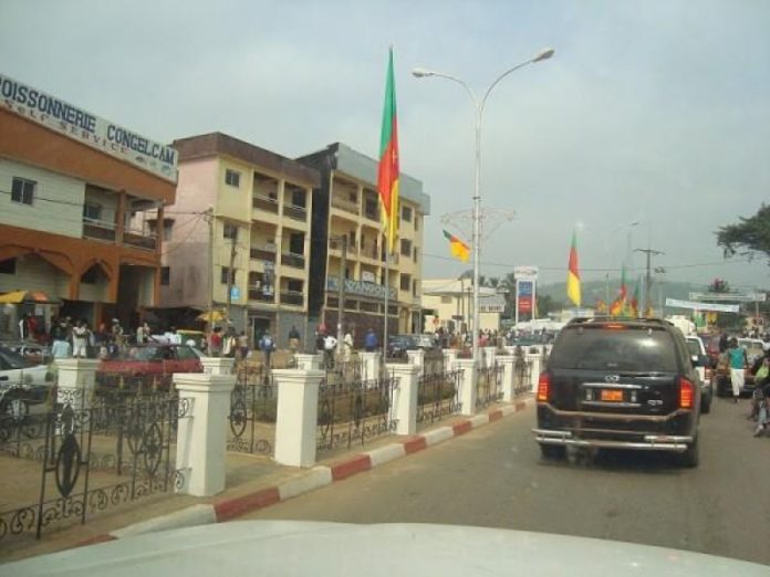 Cameroun – Trafic : Des organes humains dans une glacière saisie à Ebolowa (Sud)