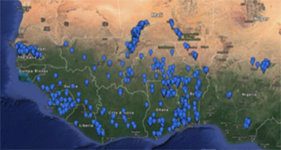 L’approche agro-écologique SRI fait ses preuves pour la production de riz en Afrique de l’Ouest