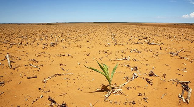 Pour en finir avec l’insécurité alimentaire en Afrique et en Méditerranée