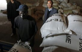 Ethiopie  : les producteurs de sésame s’intéressent davantage au marché chinois
