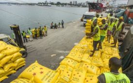 Côte d’Ivoire : 108 millions d’euros de la BAD dans le riz, le maïs et le manioc