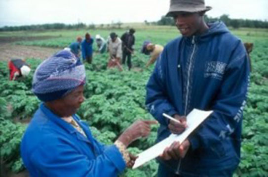 Le numérique, un atout pour le développement de l’économie verte en Afrique ?