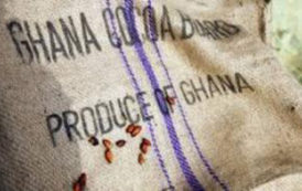 Le Ghana pourrait ne pas atteindre son objectif des 850 000 t de cacao