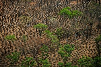 La fusion Rongead-Etc Terra à l’image des défis agro-forestiers ivoiriens