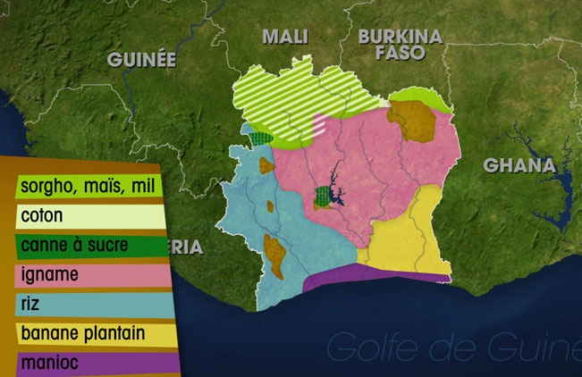 Cote d’Ivoire : 10 ordinateurs pour améliorer le système d’information sur l’agriculture