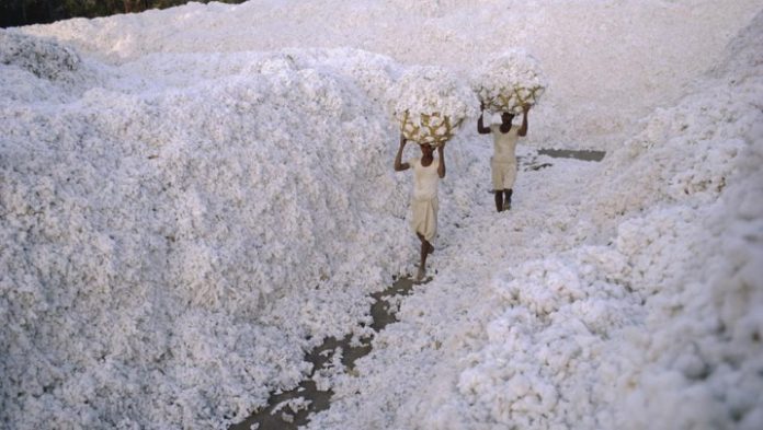 Commercialisation du coton de la campagne 2017-2018:Les Ptf satisfaits du bilan