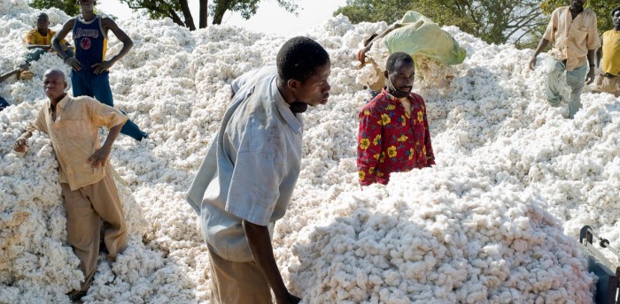 Campagne cotonnière au Burkina: 90 millions d’euros injectés dans le circuit de production