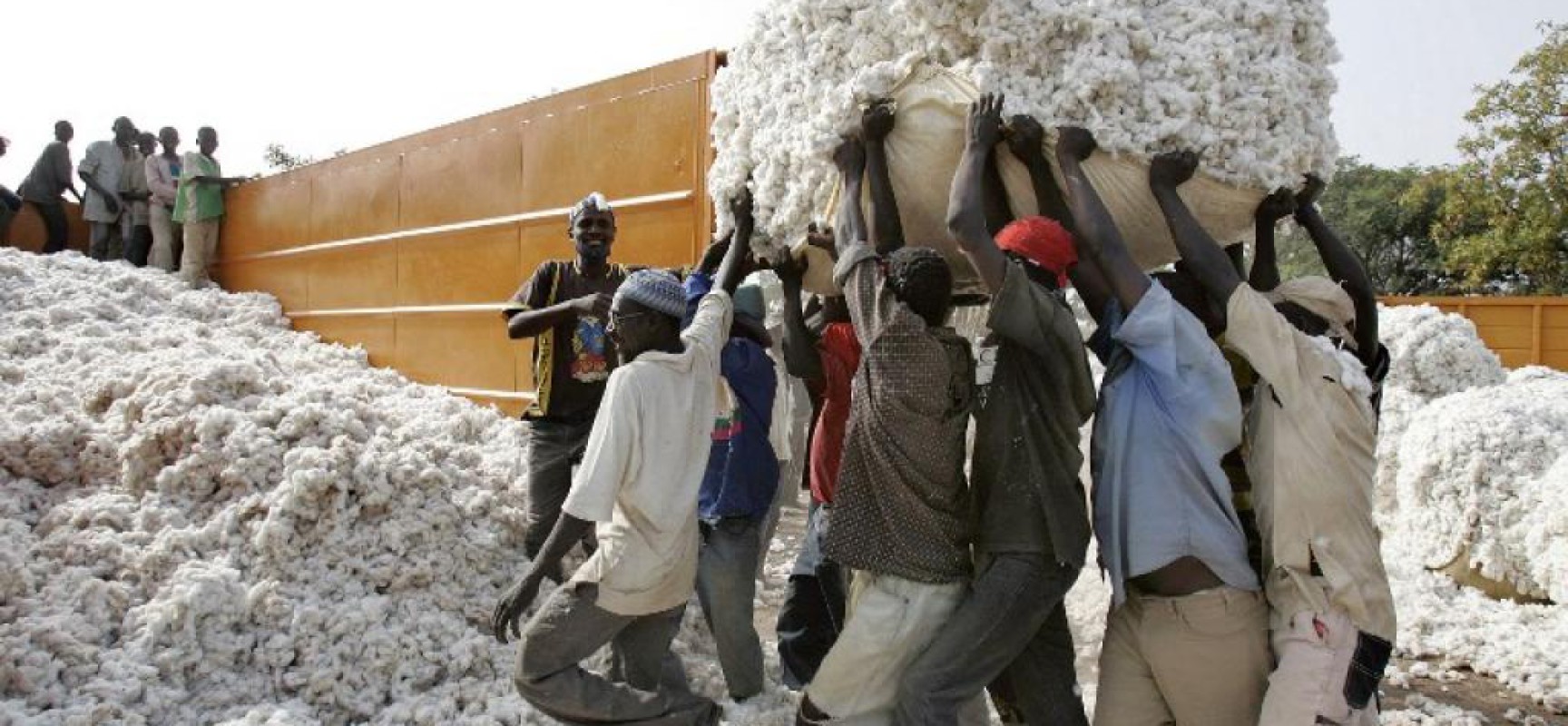 Le Burkina a remporté la bataille contre le coton OGM, mais la lutte n’est pas finie