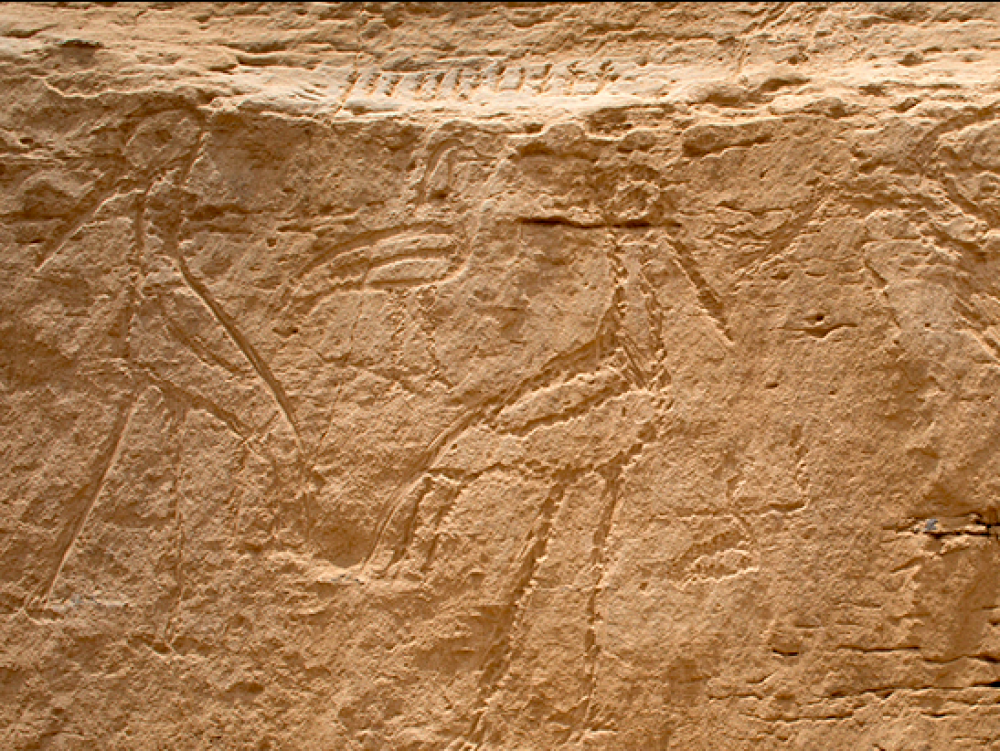 À l’origine de l’écriture pharaonique, la falaise aux hiéroglyphes