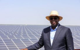 En moins de dix mois, le Sénégal s’offre trois centrales solaires dont la plus grande en Afrique de l’Ouest