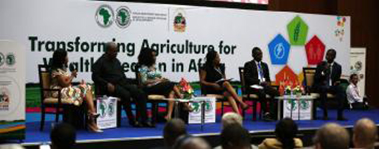 De jeunes agripreneurs primés lors des assemblées de la BAD