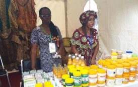 Forum Diaspora Invest 2017 : Les journées de promotion économique et commerciale du Burkina se poursuivent à Abidjan
