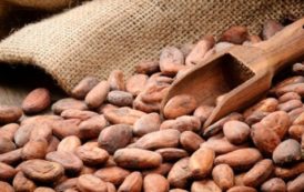 Pré-export de cacao : Une banque conclut une transaction de financement à Abidjan