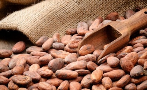 Pré-export de cacao : Une banque conclut une transaction de financement à Abidjan