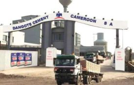 La contrebande sur le ciment Dangote fait chuter les prix dans la partie septentrionale du Cameroun