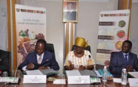 Un accord entre le Ghana et la Côte d’Ivoire pour la bonne marche de la filière cacao