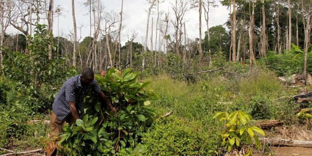 Côte d’Ivoire : l’émergence hypothéquée par le changement climatique