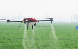 Maroc : Utilisation de drones pour la gestion de projets agricoles