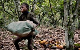 Côte d’Ivoire : un prêt de de la Banque mondiale pour soutenir une croissance durable et inclusive