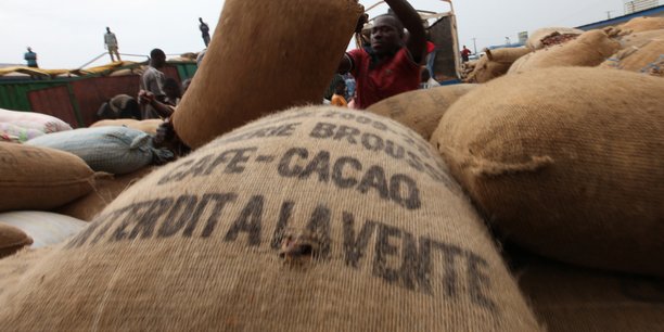 Cacao : à contre-pied du Ghana, la Côte d’Ivoire abaisse encore les prix