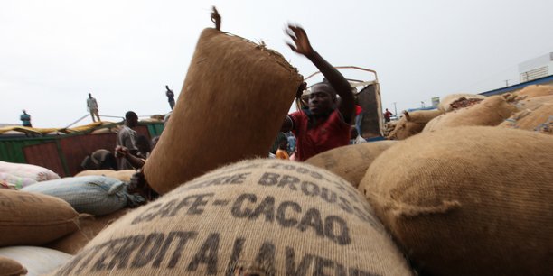 Cacao : Abidjan et Washington vont enquêter sur le travail des enfants dans le secteur