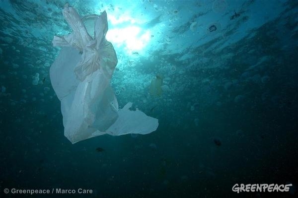 À nous 2017 ! 5 bonnes résolutions pour la planète et ses habitants