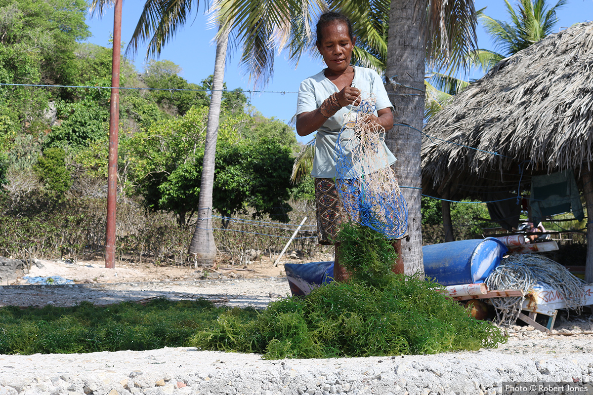 Avec l’aquaculture, nous pouvons réinventer notre système alimentaire et débrider le capital humain