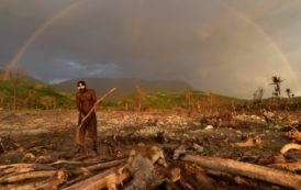 En 2016, les catastrophes ont coûté près de deux fois plus qu’en 2015