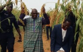 Burkina : Campagne agricole dans la Région du Nord : Ouahigouya enregistre une pluviométrie meilleure aux 40 dernières années