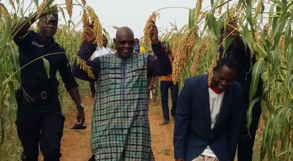 Burkina : Campagne agricole dans la Région du Nord : Ouahigouya enregistre une pluviométrie meilleure aux 40 dernières années