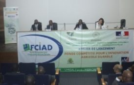 Côte d’Ivoire : Le FCIAD, un fonds de 5 milliards FCFA lancé pour soutenir l’innovation agricole durable