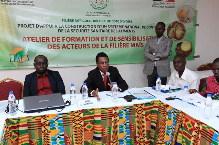 Agriculture : La prévention contre les Mycotoxines dans la filière Maïs au centre d’un Atelier à Abidjan