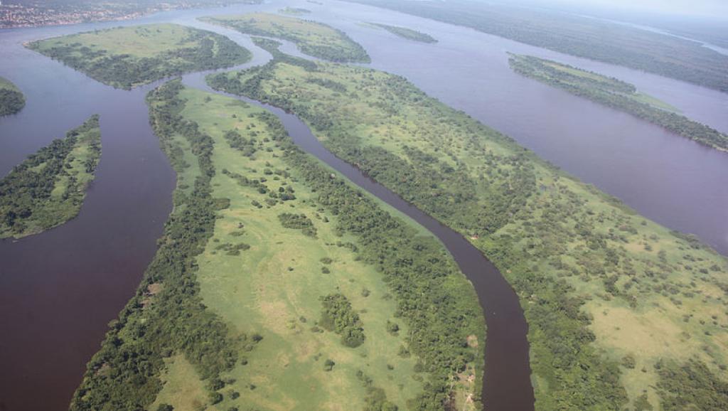 RDC : Une guerre de leadership au Bundu-di-Mayala expliquerait les violences