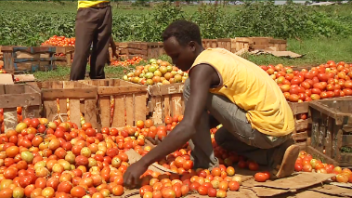 L’agriculture, un domaine clé du nouveau partenariat stratégique entre l’UE et l’Afrique