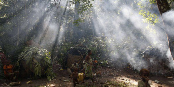 Le Gabon reçoit 18 millions de dollars pour la protection de ses forêts