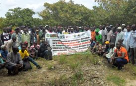 Le Conseil du Coton et de l’Anacarde forme 300 producteurs sur la gestion durable des maladies et ravageurs à Odienné, Boundiali et Korhogo