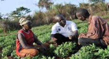 « Sahel Vert », un nouveau centre de formation en agriculture bio au Sénégal