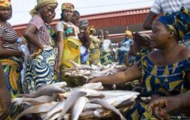 Au Nigeria, les importateurs illégaux de poissons pourraient écoper d’une peine de prison de 5 ans