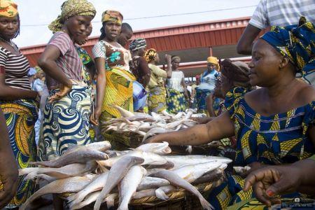 Au Nigeria, les importateurs illégaux de poissons pourraient écoper d’une peine de prison de 5 ans